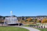 The Springs