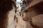 Narrows Willis Creek