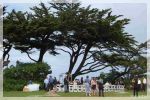 Hochzeit in Monterey