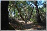 Bottchers Gap Hike