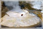 Geysir
