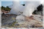 Dampfender Geysir