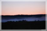 Morgennebel