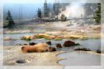 Mud Volcano