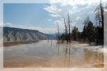 Canary Springs Walk