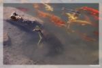 Fische mit Schildkröte