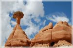 Toadstool Hoodoo