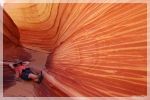 enjoy the Wave