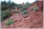 Abstieg in den Canyon
