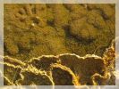 Mineralien