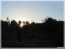 Sunrise auf dem Weg zur Wave