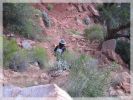Abstieg in den Canyon