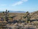 Lake Mead Blick