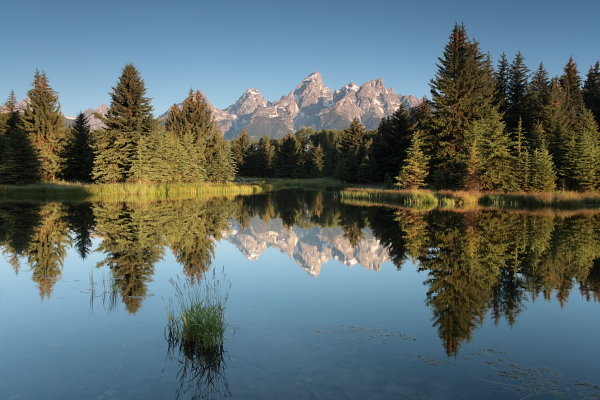 Schwabacher Landing 6:41 Uhr
Schwabacher Landing, 28.7.2009 6:41 Uhr
