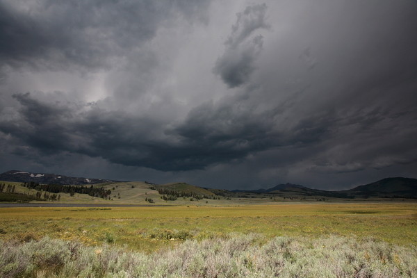 Swan Lake Flats
