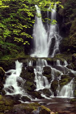 Dickson Falls
