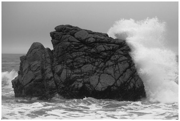 Felsen am Pebble Beach
