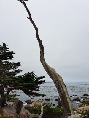 20220726_095600.jpg