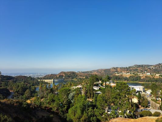 20220729_083112.jpg