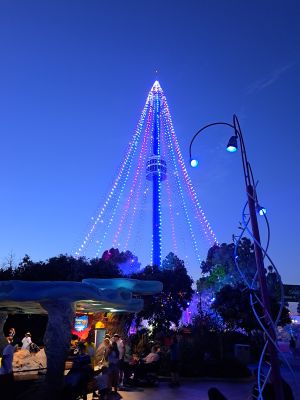 20220801_201507.jpg