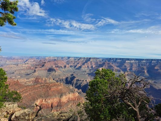 20220803_081242.jpg