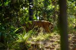DSC00907.JPG