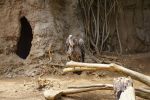 DSC00955.JPG