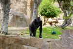 DSC00967.JPG