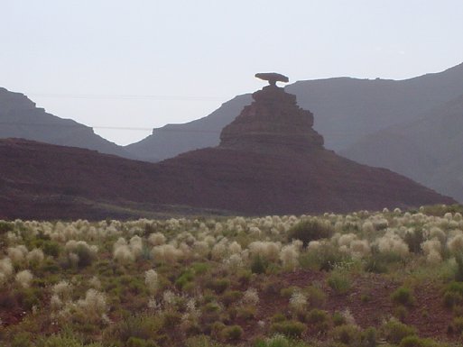 Mexican Hat

