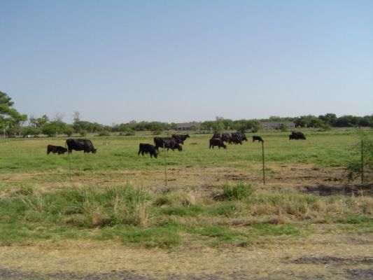 Weites Land
