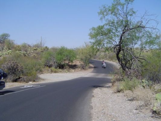 Saguaro NP East

