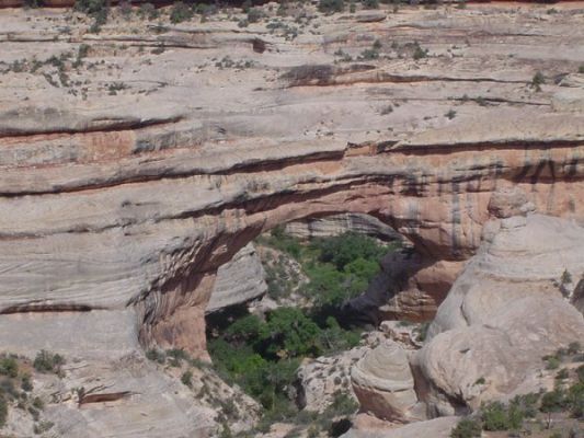 Natural Bridges NM
