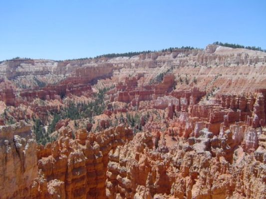 Bryce

