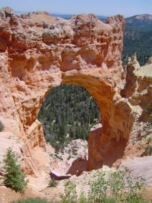 Bryce

