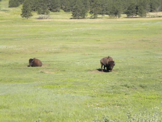 Custer SP vor Eingang

