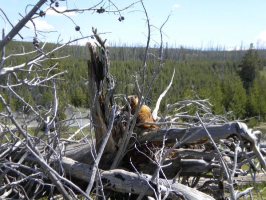 DSCN1298.jpg