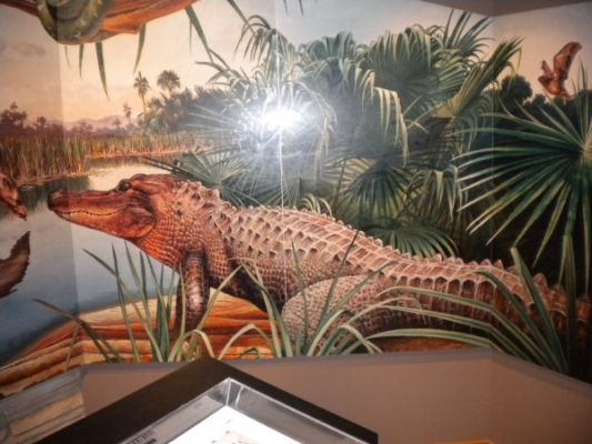 Fossil Butte
