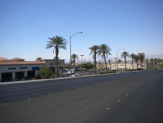 Mesquite

