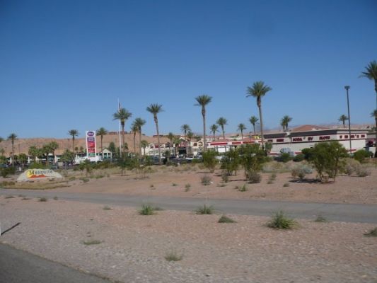 Mesquite

