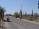 Saguaro Loop