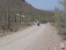 Saguaro NP West