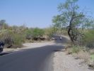 Saguaro NP East