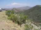 Pinal Mountain