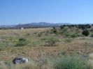 weites Land