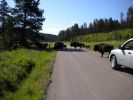 DSCN0902.jpg
