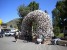 DSCN1375.jpg