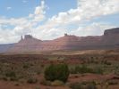 Coloradotal