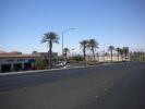 Mesquite
