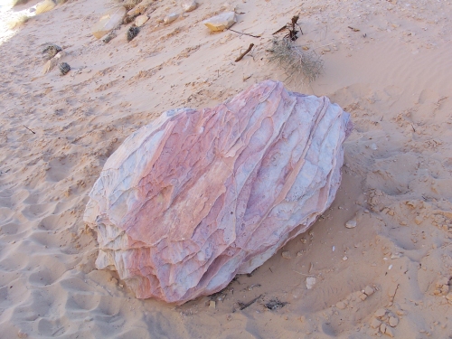 Rainbow Rock
neben dem sandigen Anstieg des White Domes Trails
