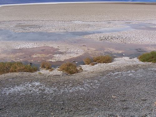Bad Water
